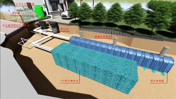 202202231449315了；貓； 68.jpg